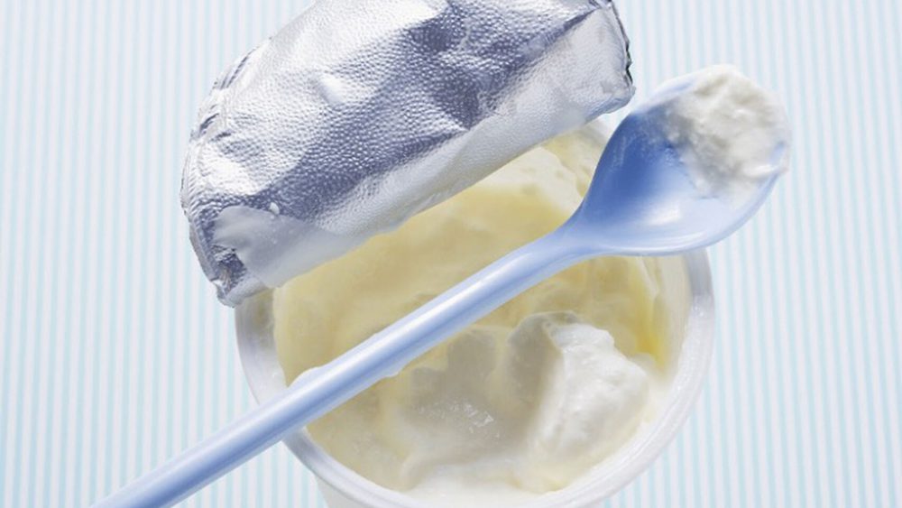 Yogur natural sin grasa