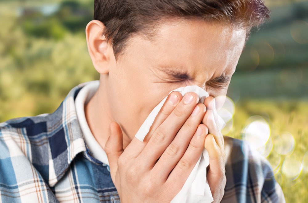 El melocotón ayuda a reducir la alergia