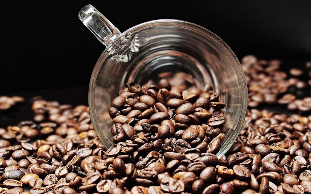 ¿Puedes comer granos de café? Todo lo que necesitas saber