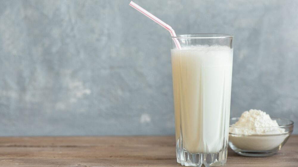 14 Grandes sustitutos del suero de leche