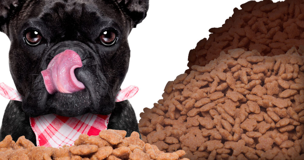 10 nutrientes que no se pueden obtener de los alimentos para animales