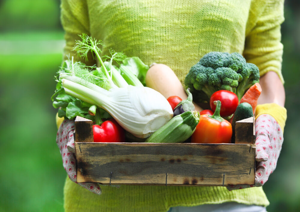 Alimentos integrales, dieta a base de plantas: Una detallada guía para principiantes