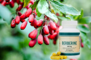 Berberina - Un poderoso suplemento con muchos beneficios
