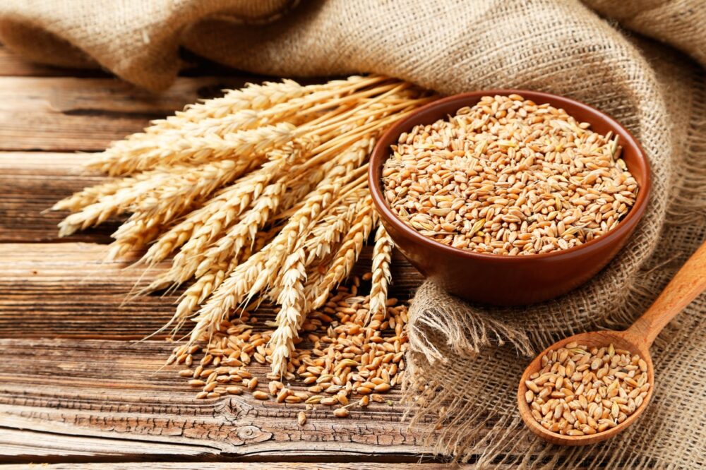 Cómo comer salvado de trigo
