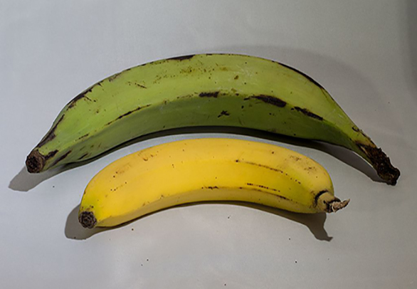 El efecto del plátano en el azúcar en la sangre depende de su madurez