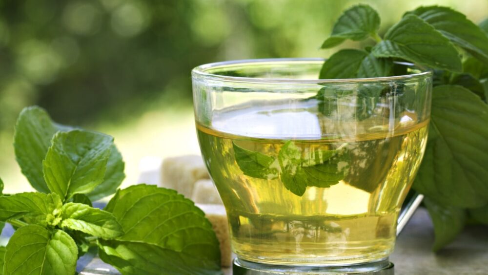 El té verde puede matar bacterias, lo que mejora la salud dental y reduce el riesgo de infección