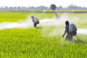 ¿Los pesticidas en los alimentos están dañando su salud?