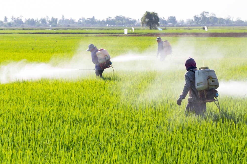 Los pesticidas en los alimentos están afectando la salud