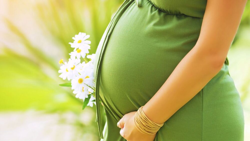 Suplementos herbales durante el embarazo