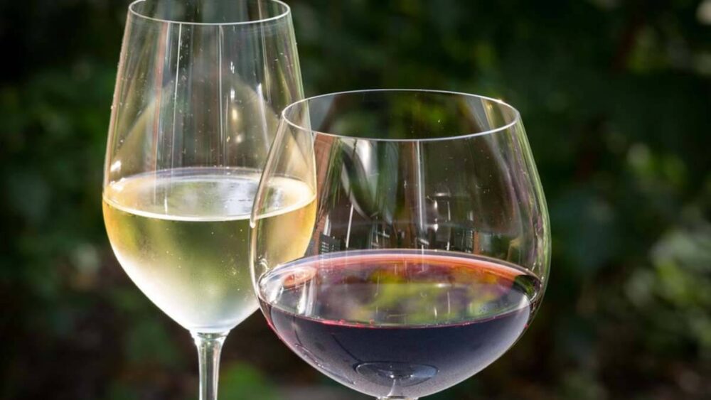 Vino tinto contra vino blanco: ¿Cuál es más saludable?