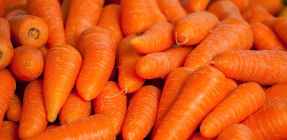 Zanahorias 101: Datos sobre nutrición y beneficios para la salud