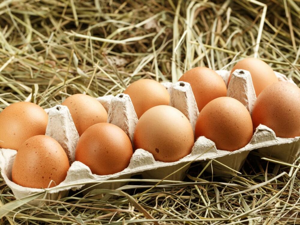 ¿Cuál es la forma más saludable de cocinar y comer huevos?