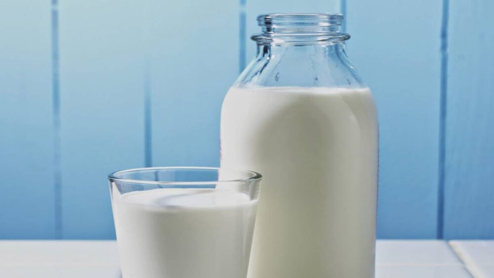 ¿Por qué a veces se considera que la leche entera no es saludable?