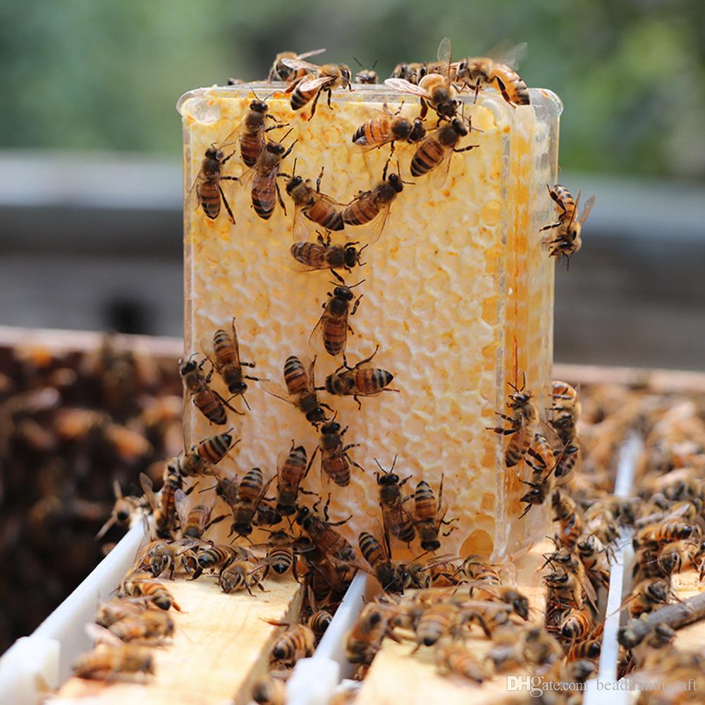¿Puedes comer panal de miel? Beneficios, usos y peligros