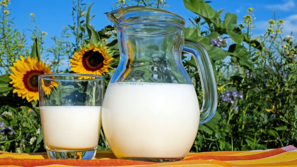 ¿Qué es la leche enriquecida? Beneficios y usos